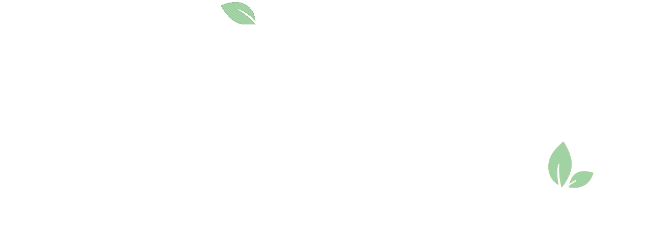 江南枝 - 源自江南原产地的匠心好茶，一盏江南茶，半日闲时光